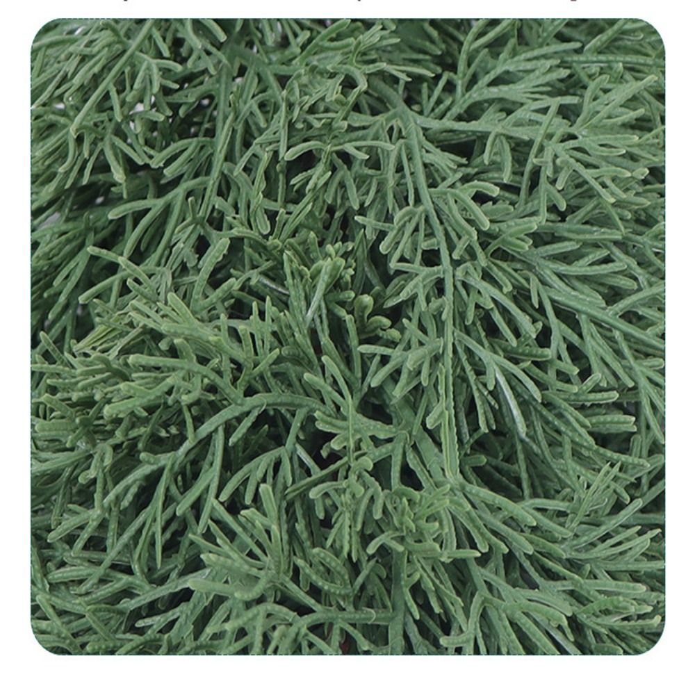 สีเขียวประดิษฐ์สาขาต้นคริสต์มา - Christmas Tree Artificial บทวิจารณ์และราคา